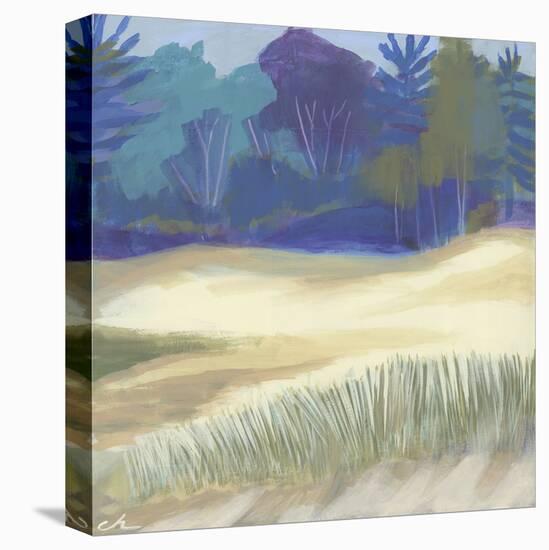 Coastal Dunes I-Cathe Hendrick-Stretched Canvas