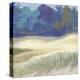 Coastal Dunes I-Cathe Hendrick-Stretched Canvas