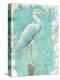 Coastal Egret I V2-Sue Schlabach-Stretched Canvas