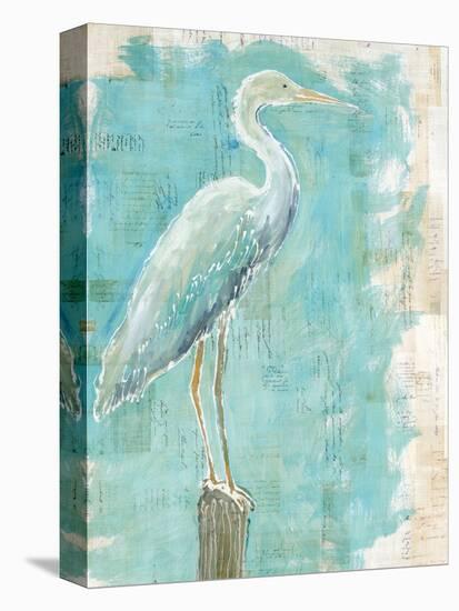 Coastal Egret I-Sue Schlabach-Stretched Canvas