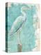 Coastal Egret I-Sue Schlabach-Stretched Canvas