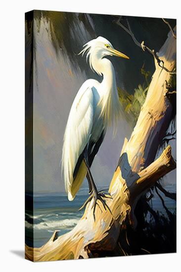 Coastal Egret on the tree-Vivienne Dupont-Stretched Canvas