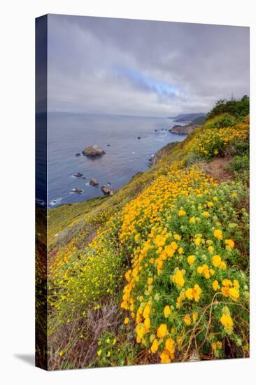 Coastal Flowerscape, Carmel-Vincent James-Premier Image Canvas