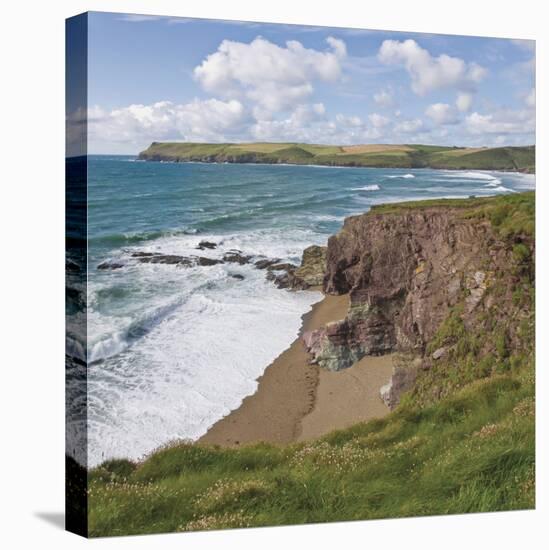 Coastal Footpath Between Haymer Bay Rock and Polzeath, Cornwall, England, United Kingdom, Europe-David Hughes-Premier Image Canvas