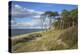 Coastal Forest on the Western Beach of Darss Peninsula-Uwe Steffens-Premier Image Canvas