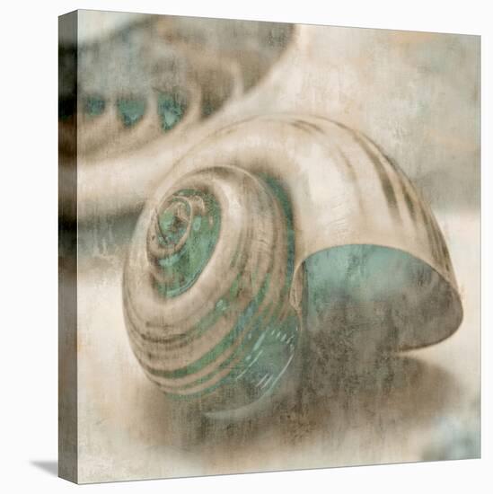Coastal Gems II-John Seba-Stretched Canvas