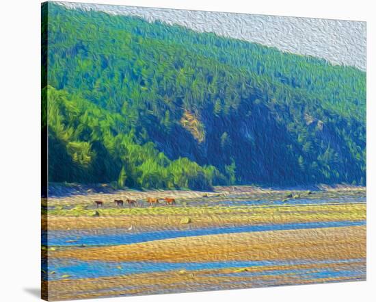 Coastal Horses-SM Design-Stretched Canvas