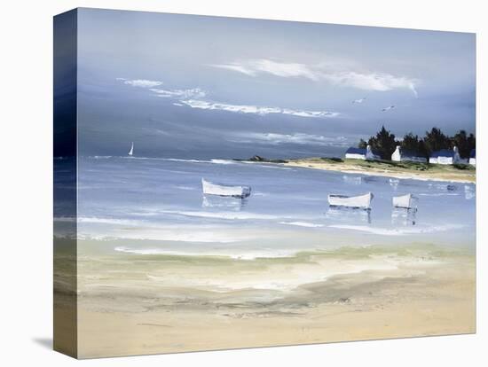 Coastal Inlet II-Frédéric Flanet-Premier Image Canvas