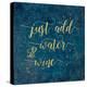 Coastal Lace Words-Jess Aiken-Stretched Canvas