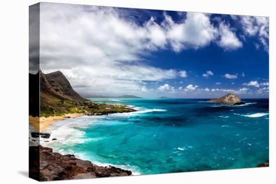 Coastal Landscape Near Makapuu Beach at the East Coast of Oahu, Hawaii, USA-Dirk Rueter-Premier Image Canvas