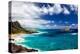Coastal Landscape Near Makapuu Beach at the East Coast of Oahu, Hawaii, USA-Dirk Rueter-Premier Image Canvas