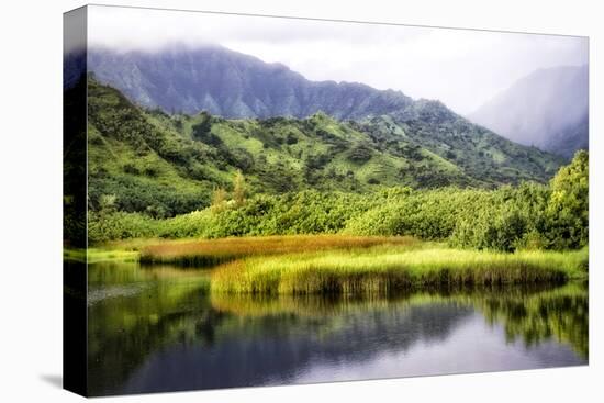 Coastal Marsh II-Danny Head-Premier Image Canvas