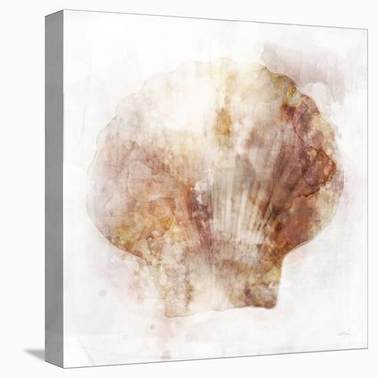 Coastal Mist Scallop-Ken Roko-Stretched Canvas