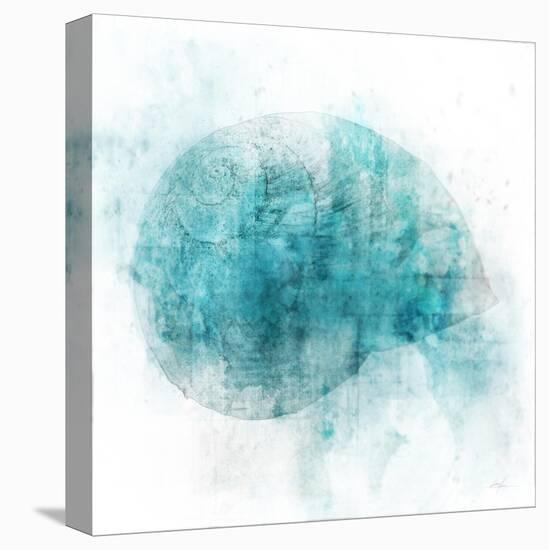 Coastal Mist Shell-Ken Roko-Stretched Canvas