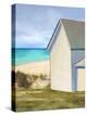 Coastal Outings-Mark Chandon-Stretched Canvas