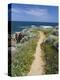 Coastal Path with Spring Flowers, Near Chania, Chania Region, Crete, Greek Islands, Greece, Europe-Stuart Black-Premier Image Canvas