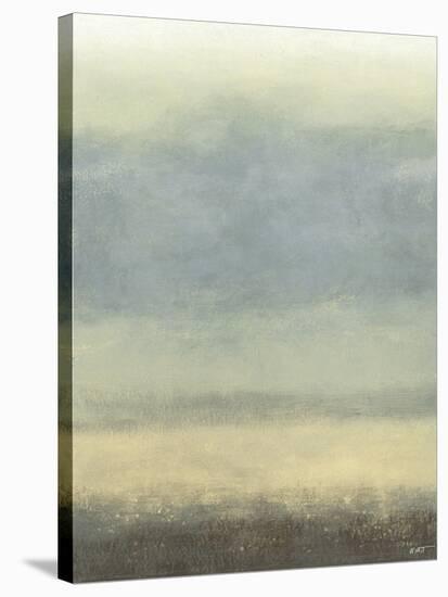 Coastal Rain I-Norman Wyatt Jr.-Stretched Canvas