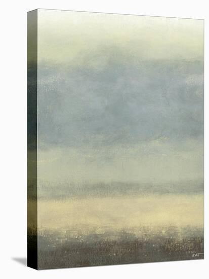 Coastal Rain I-Norman Wyatt Jr.-Stretched Canvas