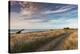 Coastal road at dusk, Cape Egmont, Pungarehu, New Plymouth, Taranaki, North Island, New Zealand-null-Premier Image Canvas