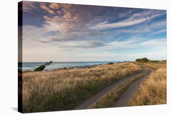Coastal road at dusk, Cape Egmont, Pungarehu, New Plymouth, Taranaki, North Island, New Zealand-null-Stretched Canvas