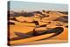 Coastal sand dunes at sunset, Namibia-Eric Baccega-Premier Image Canvas