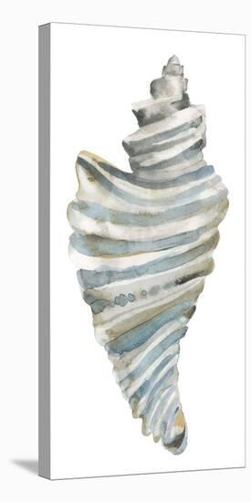 Coastal Seashells - Drill-Sandra Jacobs-Stretched Canvas