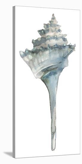 Coastal Seashells - Whelk-Sandra Jacobs-Stretched Canvas