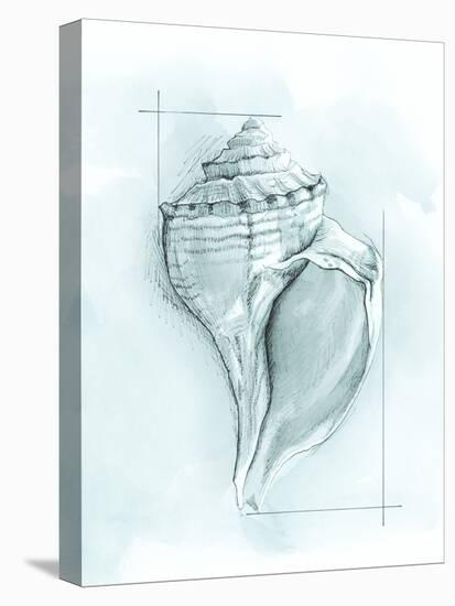 Coastal Shell Schematic I-Megan Meagher-Stretched Canvas