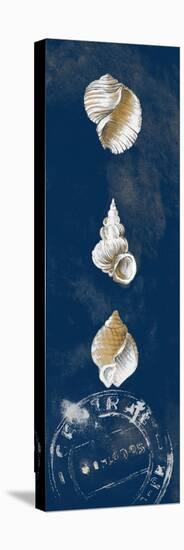 Coastal Shells Panel I-Lanie Loreth-Stretched Canvas