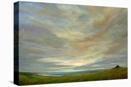 Coastal Sky-Sheila Finch-Stretched Canvas