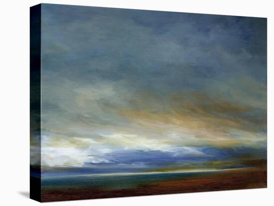 Coastal Storm-Sheila Finch-Stretched Canvas
