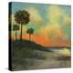 Coastal Sunset I-David Swanagin-Stretched Canvas