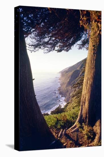 Coastal View at Ragged Point, Big Sur, California-George Oze-Premier Image Canvas