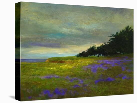 Coastal Views VI-Sheila Finch-Stretched Canvas