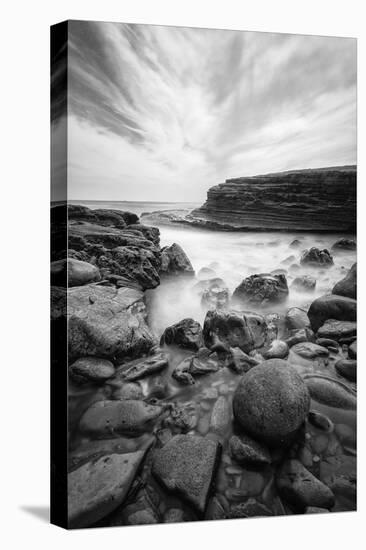 Coastline at Cabrillo National Monument-Andrew Shoemaker-Premier Image Canvas