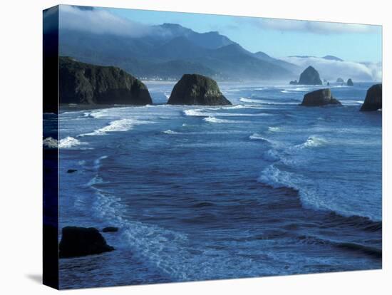 Coastline at Ecola State Park, Oregon Coast, USA-Janis Miglavs-Premier Image Canvas