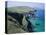 Coastline at Slea Head, Dingle Peninsula, County Kerry, Munster, Republic of Ireland (Eire), Europe-Roy Rainford-Premier Image Canvas
