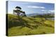 Coastline Looking North Towards Coromandel and Hauraki Gulf-Stuart-Premier Image Canvas