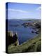 Coastline Looking South with Village of St. Abbs, Berwickshire, Borders, Scotland-Geoff Renner-Premier Image Canvas