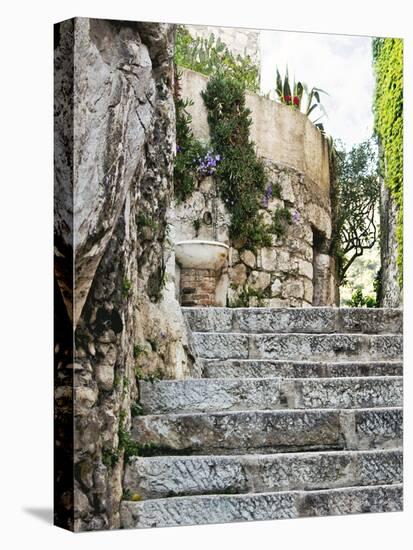 Cobbled Walkway III-Rachel Perry-Premier Image Canvas