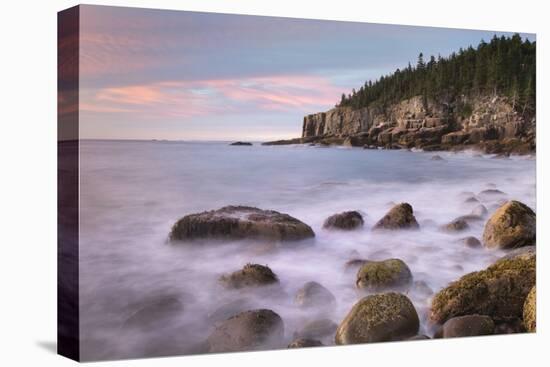 Cobblestone Beach-Alan Majchrowicz-Premier Image Canvas