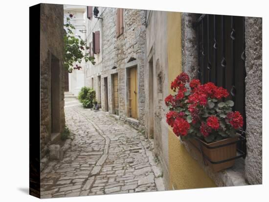 Cobblestone Street and Geraniums, Bale, Croatia-Adam Jones-Premier Image Canvas