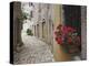 Cobblestone Street and Geraniums, Bale, Croatia-Adam Jones-Premier Image Canvas