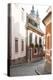 Cobblestone Street and Narrow Buildings with Church Towers in Background, Eger, Hungary-Kimberly Walker-Premier Image Canvas