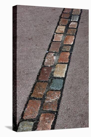 Cobblestones' Line That Marks the Place Where Was the Berlin Wall. Germany-null-Premier Image Canvas