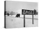 Coca Cola Road Sign on Autobahn Between Munich and Salzburg with Jep Driving-Walter Sanders-Premier Image Canvas