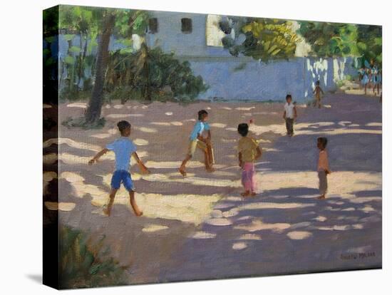 Cochin-Andrew Macara-Premier Image Canvas