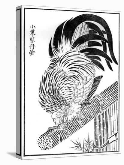 Cock, 15th Century-Oguri Sotan-Premier Image Canvas