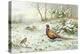 Cock Pheasant and Chaffinch-Carl Donner-Premier Image Canvas