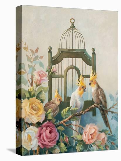 Cockatiel and Roses-unknown Johnston-Stretched Canvas